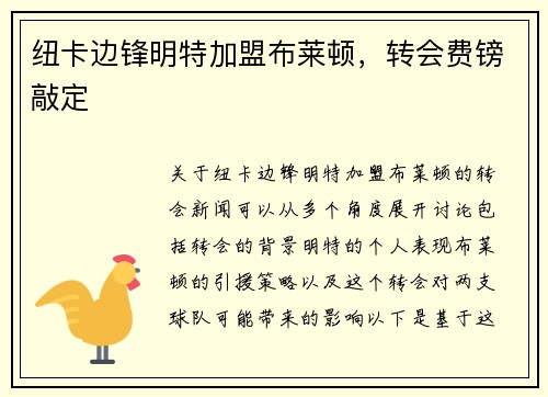 纽卡边锋明特加盟布莱顿，转会费镑敲定