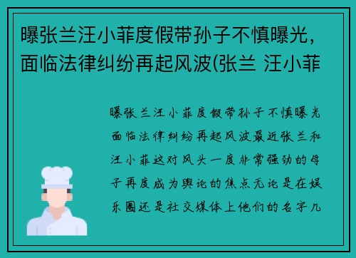 曝张兰汪小菲度假带孙子不慎曝光，面临法律纠纷再起风波(张兰 汪小菲)